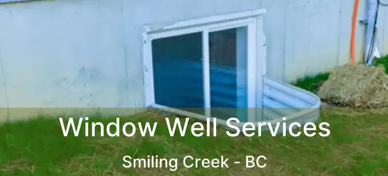  Window Well Services Smiling Creek - BC