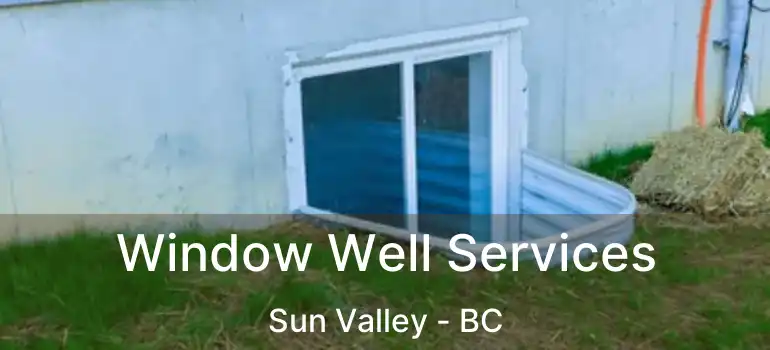  Window Well Services Sun Valley - BC