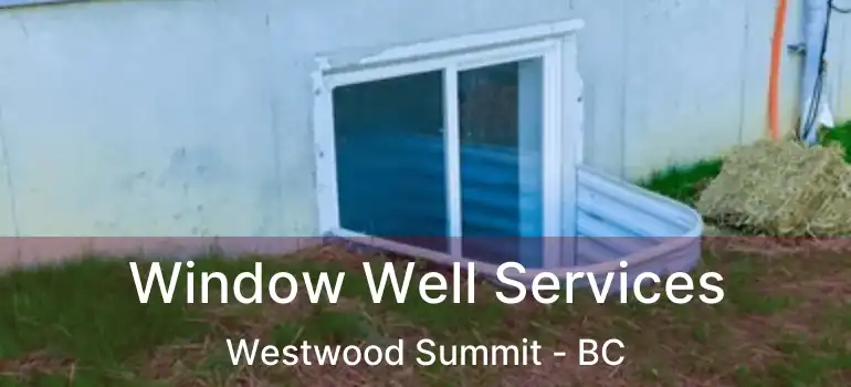  Window Well Services Westwood Summit - BC